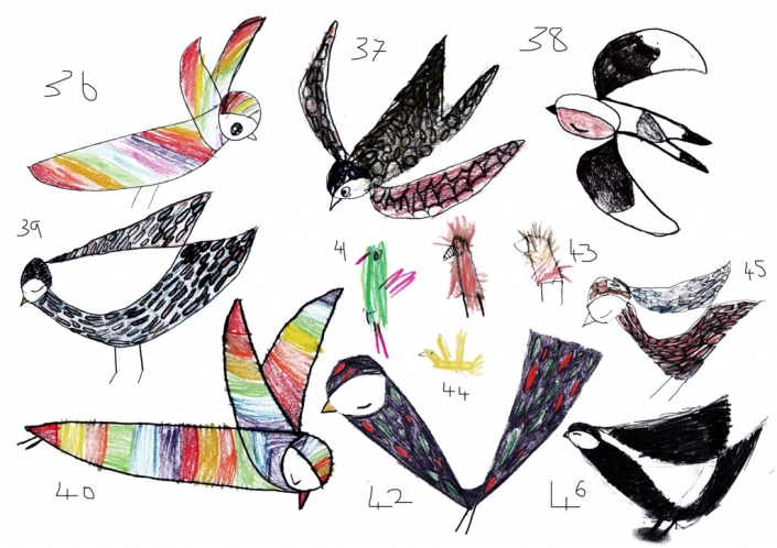 Glenfall Birds 4