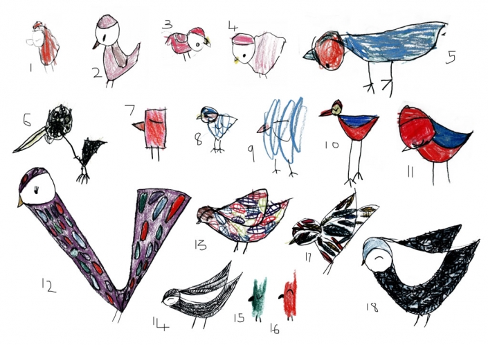 Glenfall Birds